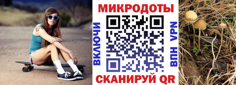 Псилоцибиновые грибы Cubensis  Калининск 