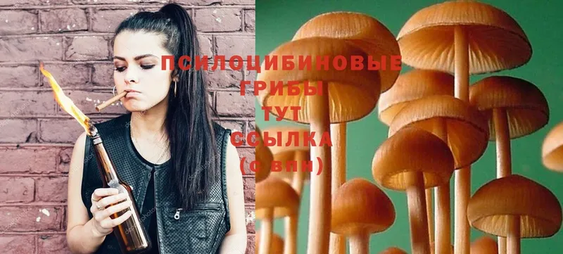 Псилоцибиновые грибы Magic Shrooms  Калининск 